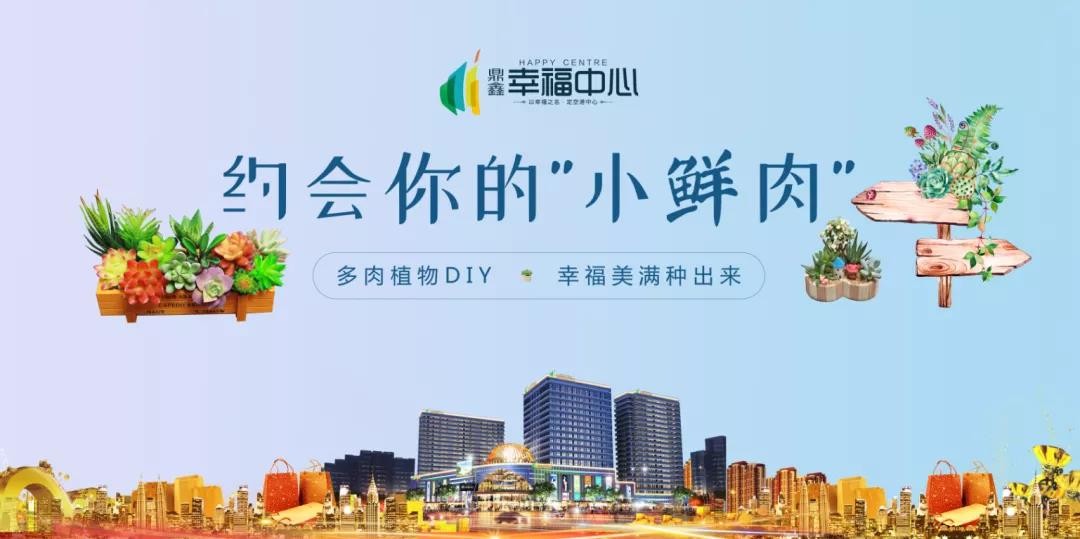 約會(huì)你的“小鮮肉” 多肉植物DIY，幸福美滿種出來(lái)