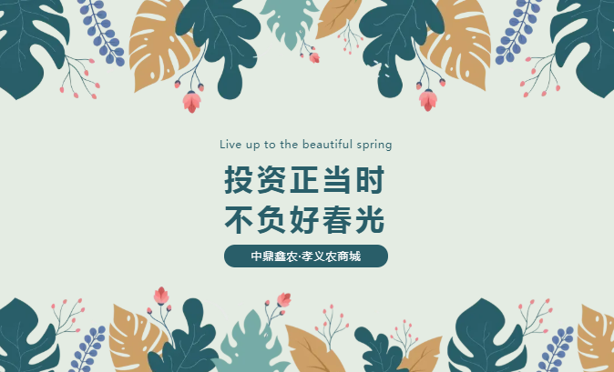 孝義唯一大產(chǎn)權的農(nóng)批商鋪，投資有保障！